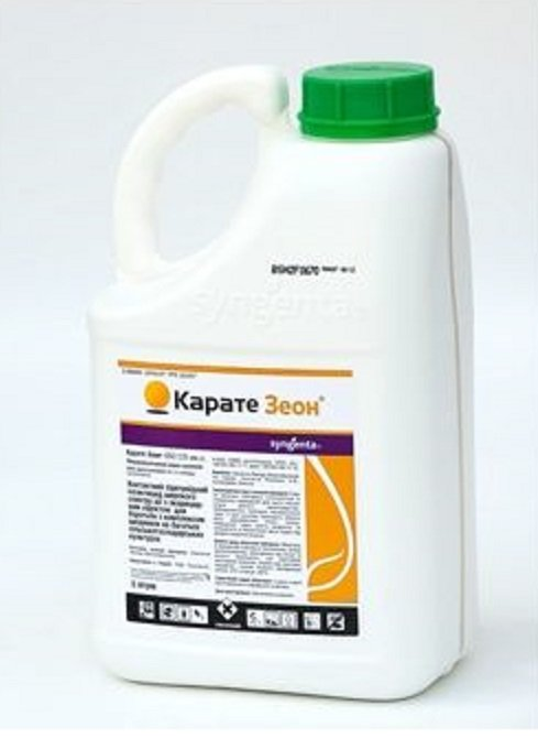 Каратэ Зеон Каратэ Зеон