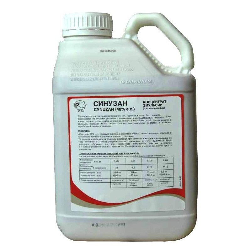 Синузан Синузан