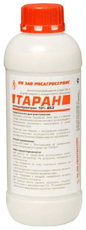 Таран Таран