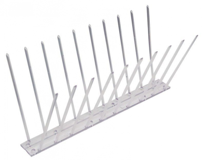 Еж-Стандарт Еж-Стандарт