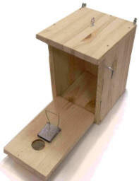 Ловушка-дуплянка для воробьев Ловушка-дуплянка для воробьев